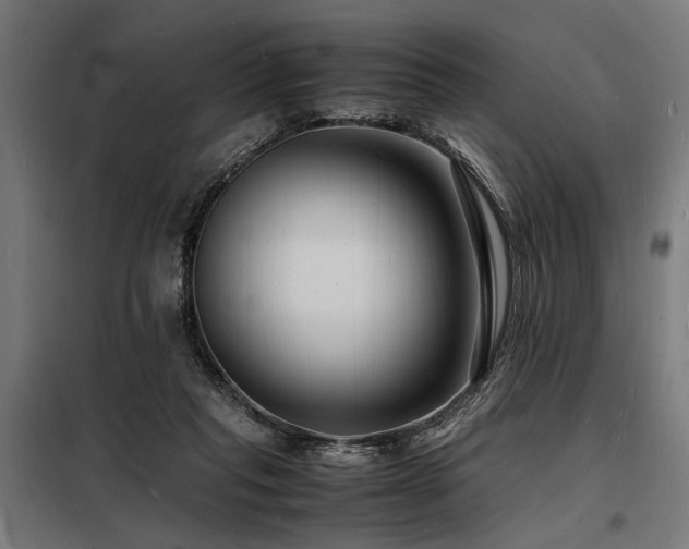 X0000098180261200804241228