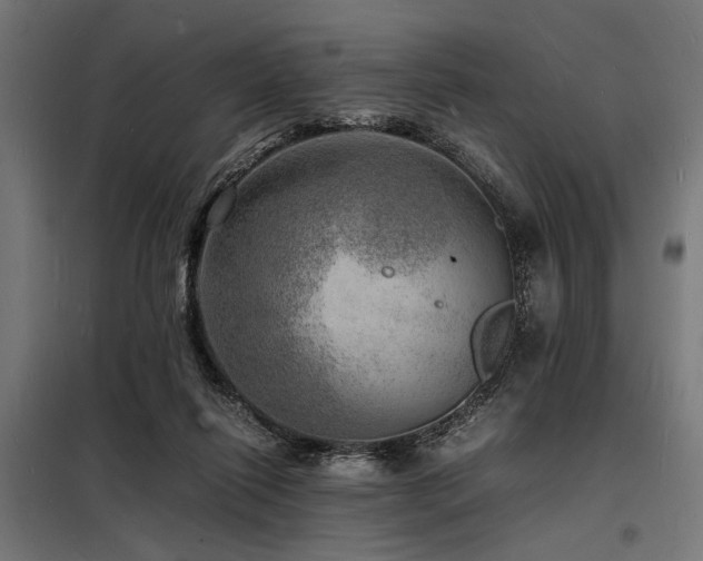 X0000098180262200804241228