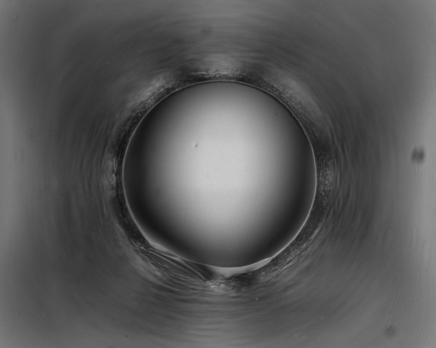 X0000098180264200804241228