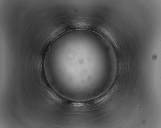 X0000098180265200804241228