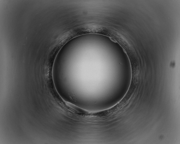 X0000098180268200804241228