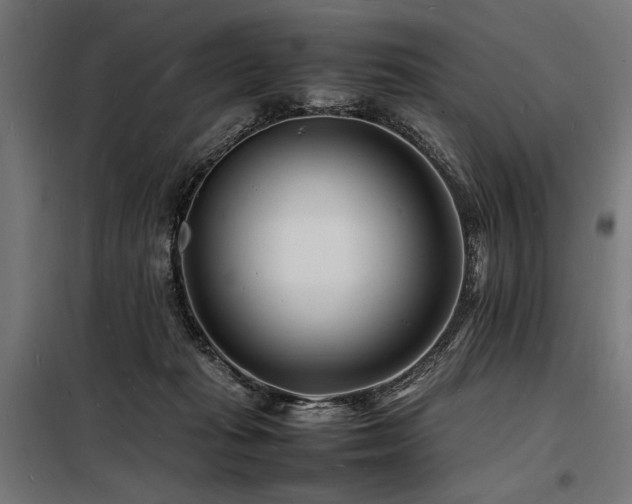 X0000098180269200804241228