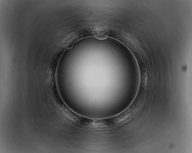 X0000098180270200804241228