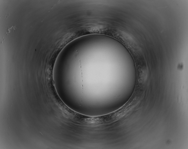 X0000098180273200804241228