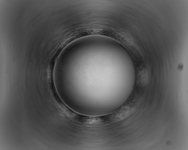 X0000098180274200804241228
