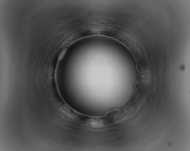 X0000098180275200804241228