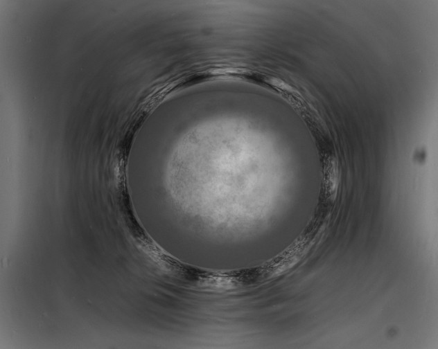 X0000098180276200804241228