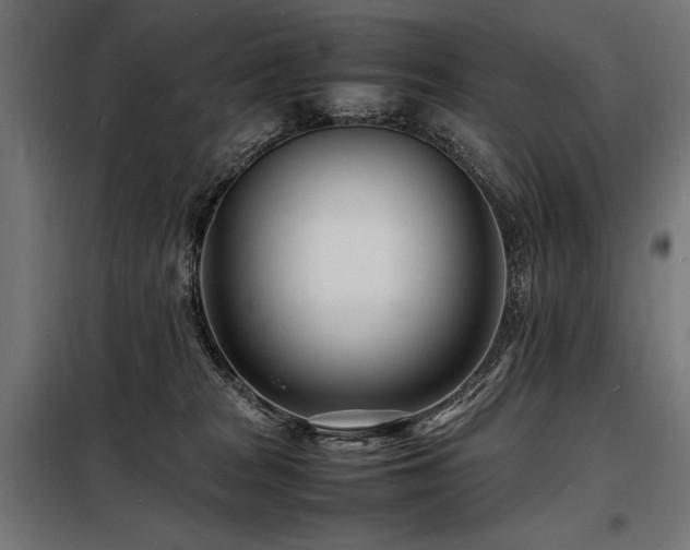 X0000098180277200804241228