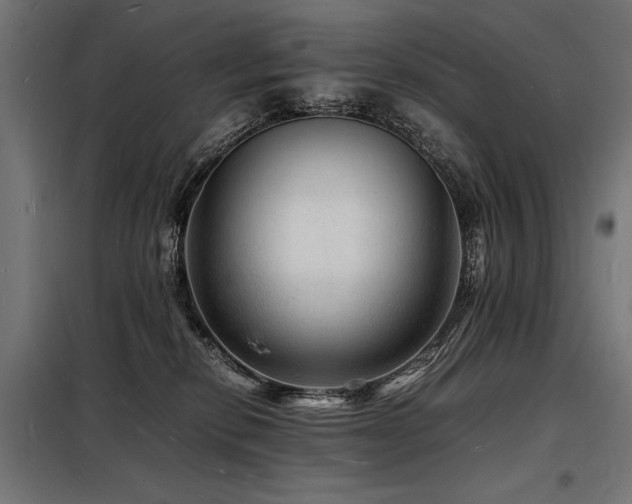 X0000098180278200804241228
