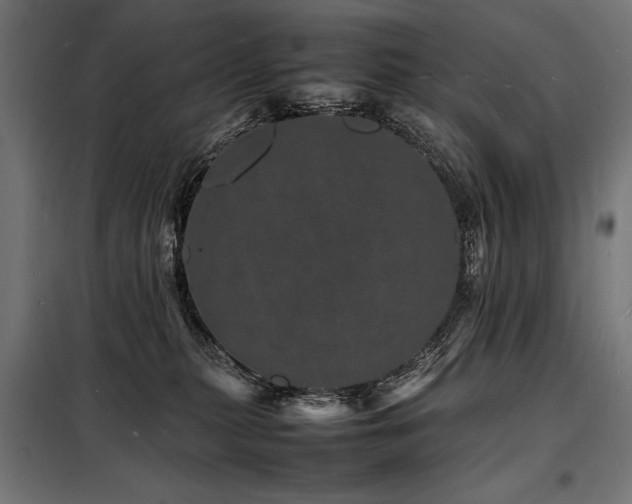 X0000098180279200804241228