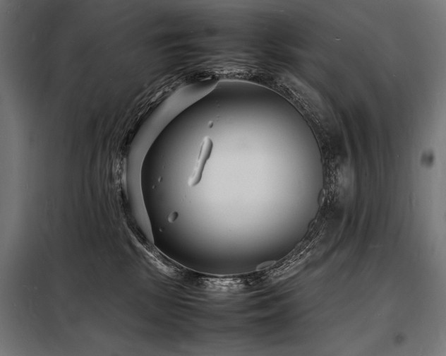 X0000098180281200804241228