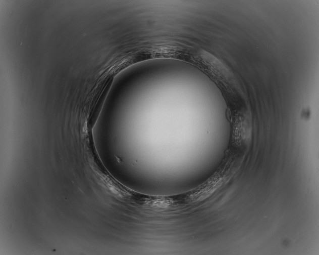 X0000098180282200804241228
