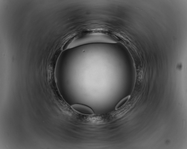 X0000098180283200804241228
