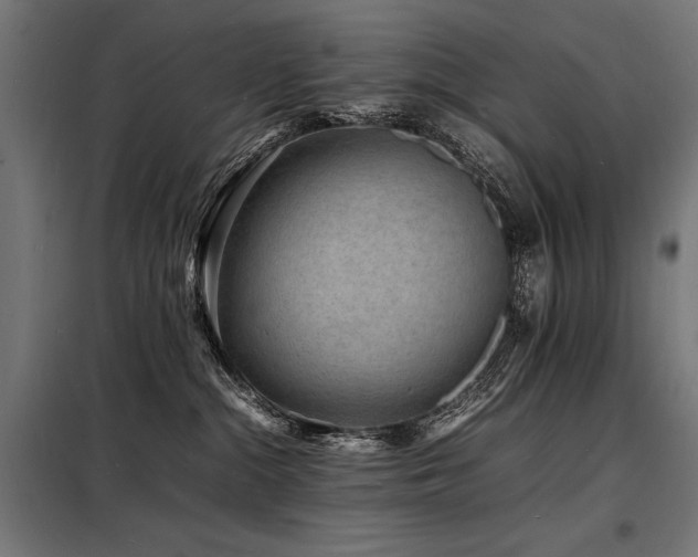 X0000098180284200804241228