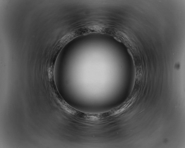 X0000098180285200804241228