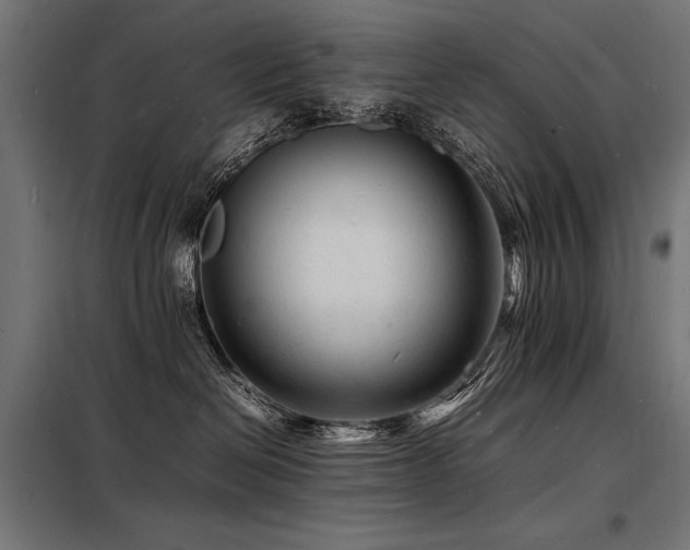 X0000098180286200804241228