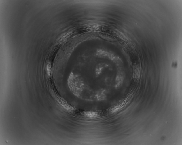 X0000098180287200804241228