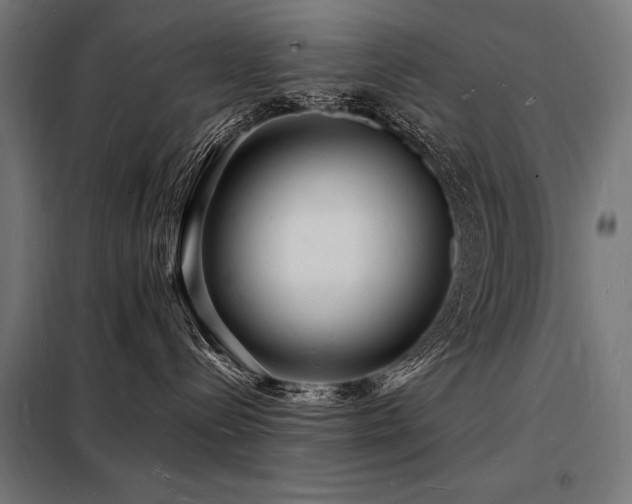 X0000098180288200804241228