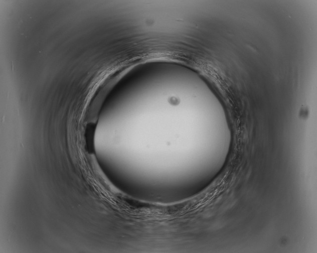X0000098180289200804241228