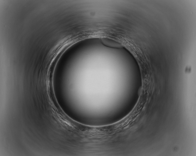 X0000098180290200804241228
