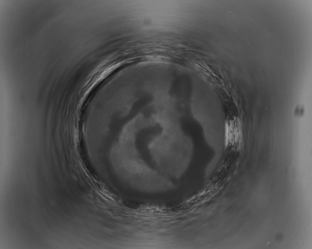 X0000098180291200804241228