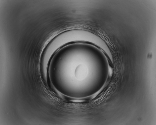 X0000098180292200804241228