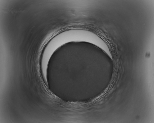 X0000098180293200804241228