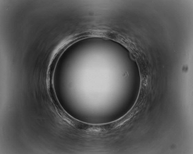 X0000098180294200804241228