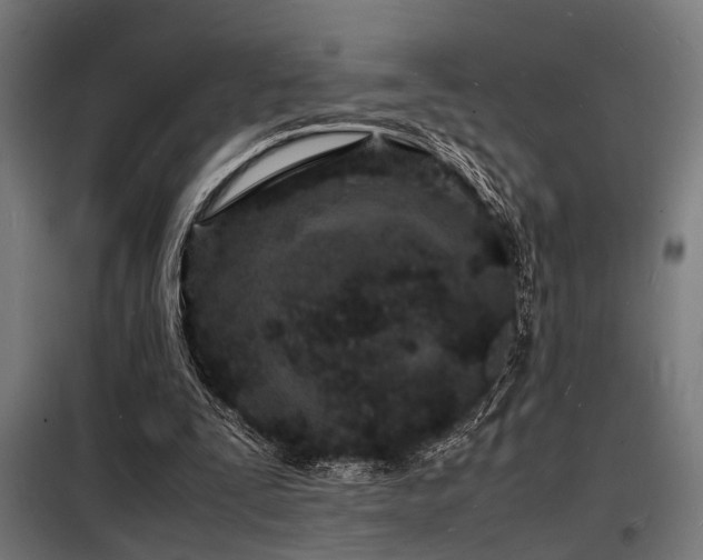 X0000098180295200804241228