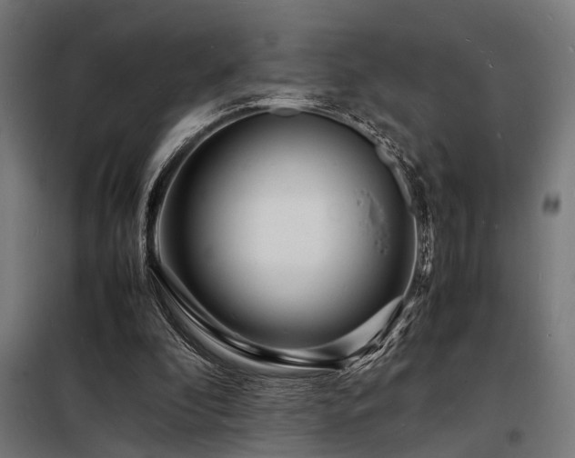 X0000098180296200804241228