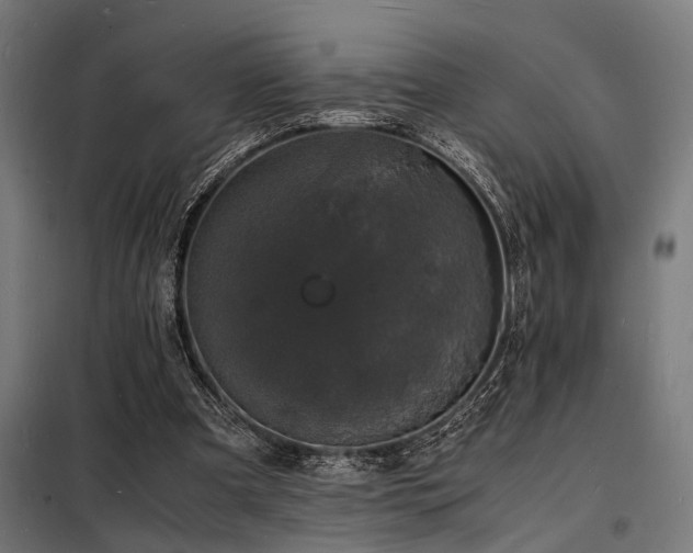 X0000098180297200804241228