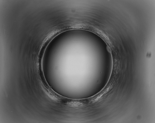 X0000098180298200804241228