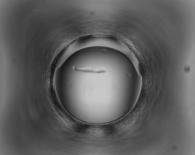 X0000098180299200804241228