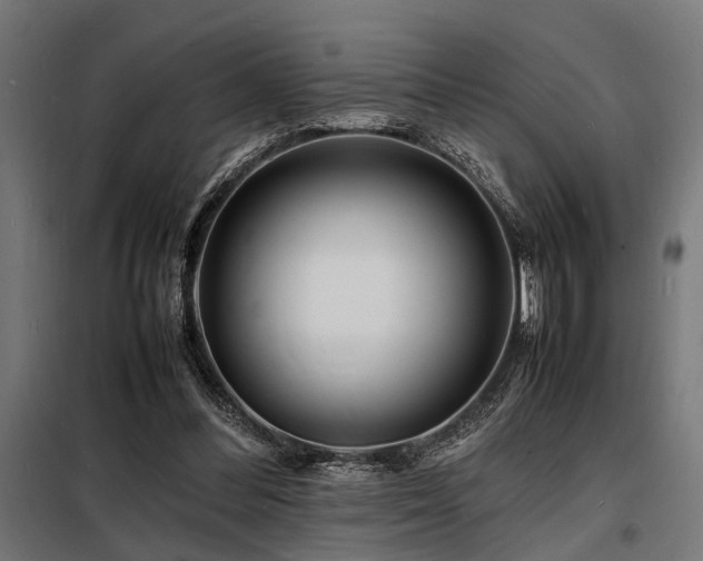 X0000098180300200804241227