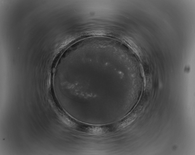 X0000098180301200804241227