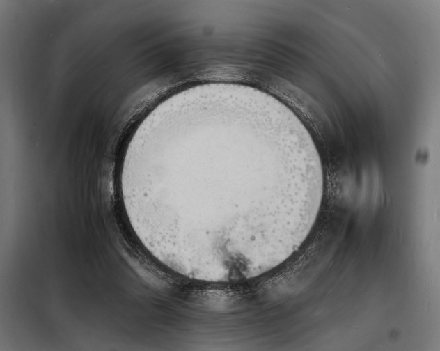 X0000098180302200804241227