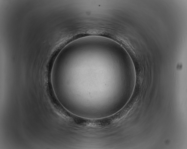 X0000098180303200804241227