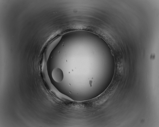 X0000098180304200804241227