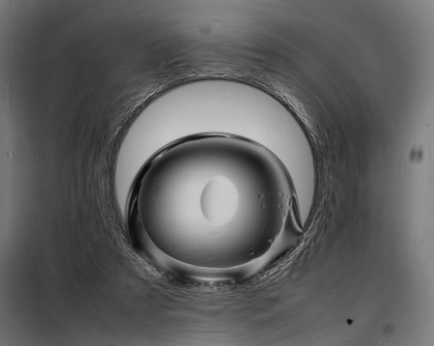 X0000098180305200804241227
