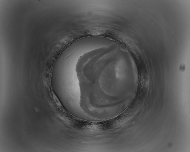 X0000098180307200804241227