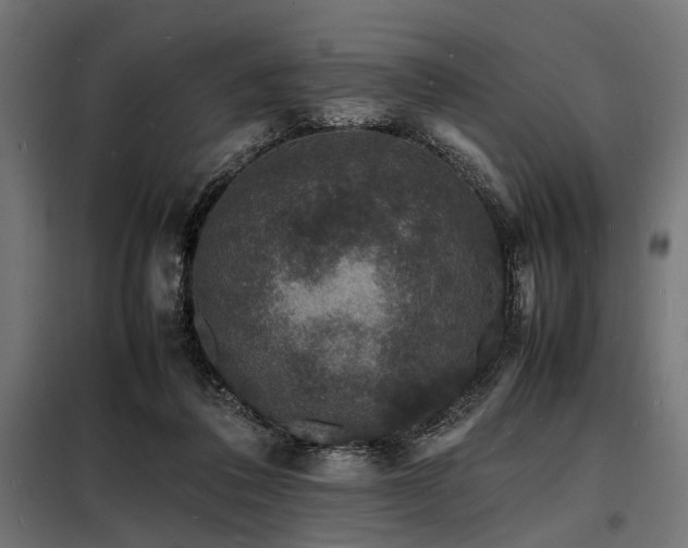 X0000098180308200804241227