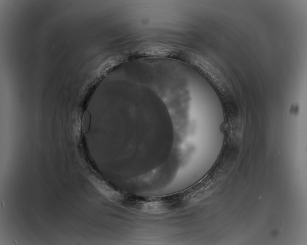 X0000098180309200804241227