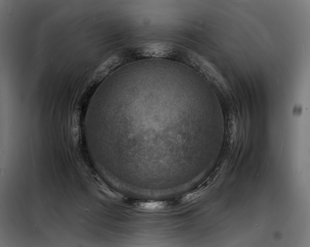 X0000098180312200804241227