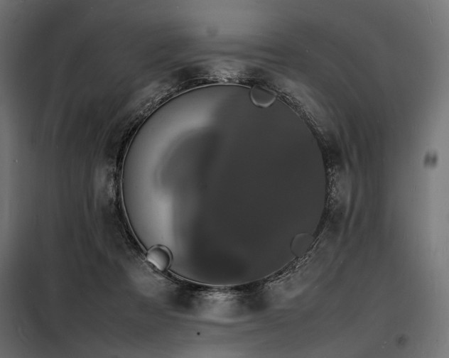 X0000098180313200804241227