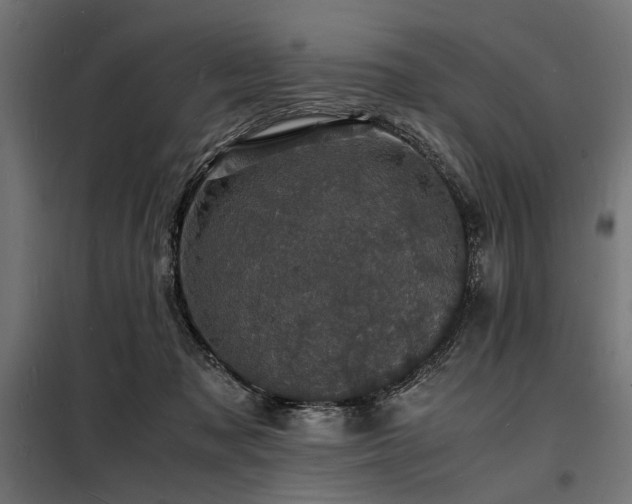 X0000098180317200804241227