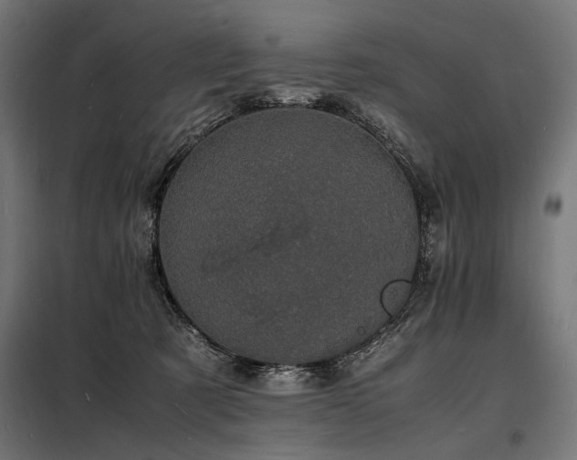 X0000098180321200804241227
