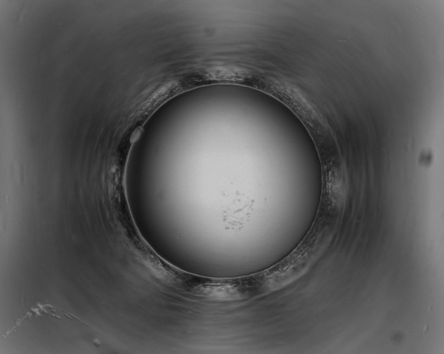 X0000098180322200804241227