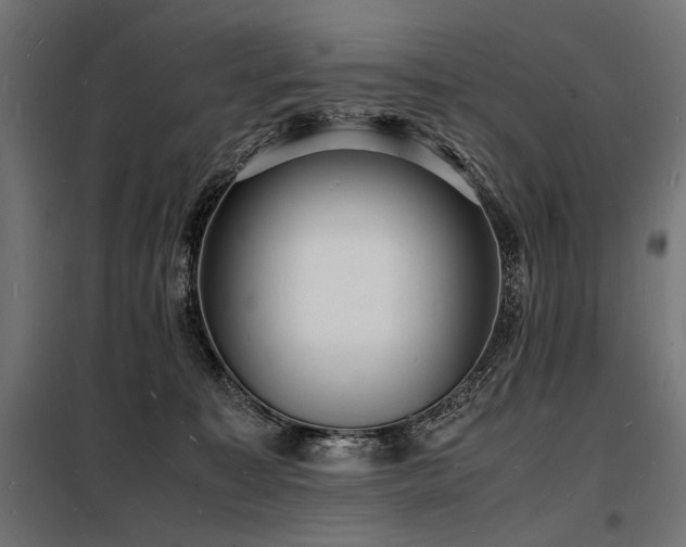 X0000098180323200804241227