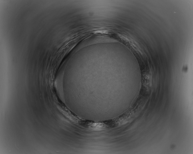 X0000098180324200804241227