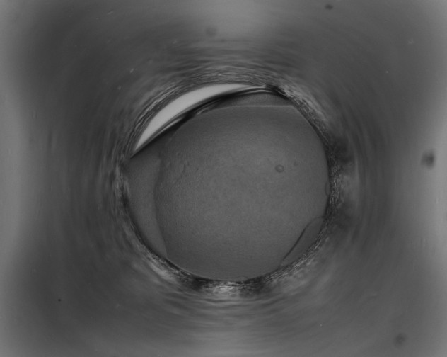 X0000098180325200804241227